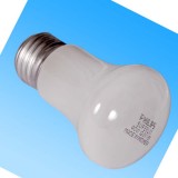 F燈泡 PHILIPS 40W 220V 螺口 已停產(chǎn)，找代用型號>>